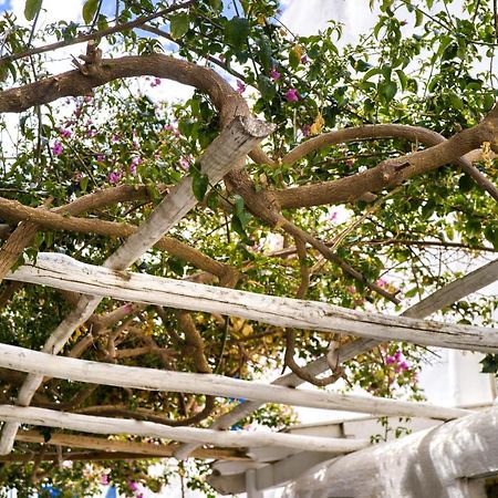 K&K Residence @Mykonos Town Exterior photo